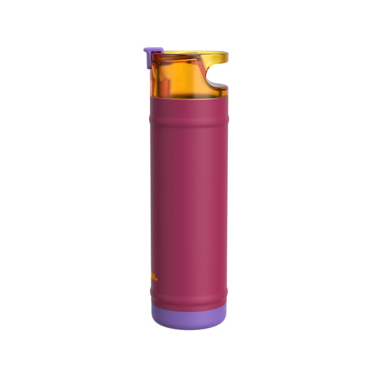 bubba 24 oz DualSip Insulated Stainless Steel Water Bottle - Locker Love - US 3215